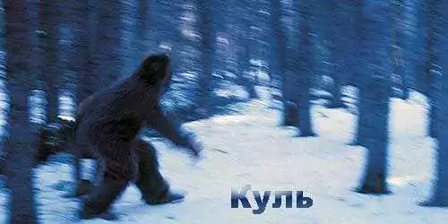 Снежный человек читать бесплатно