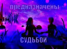 Истории из жизни мистика
