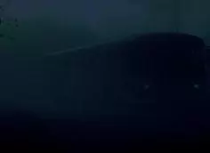 Бессмертие